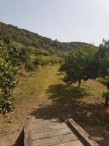 Perivoli Country & Retreat - 76