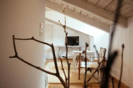 Amymone and Adiandi - 178