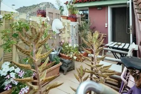 Amymone and Adiandi - 160