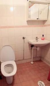 Ivalo River Camping & Resort - 8