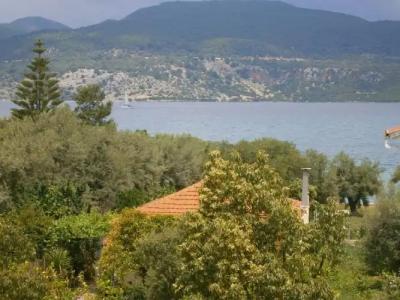 Thomais Boutique - 105