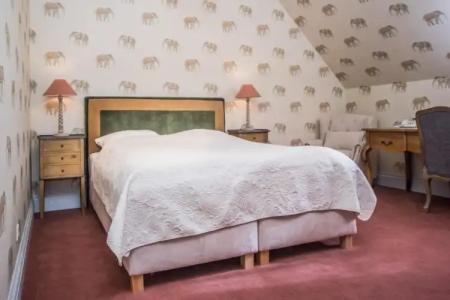 GreenLine Schloss Stonsdorf  Palac Staniszow - 30