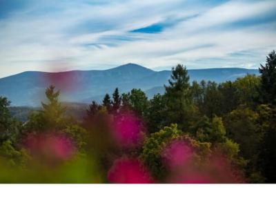 Mercure Jelenia Gora - 25