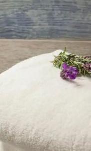 Le Neptune & Spa - 20