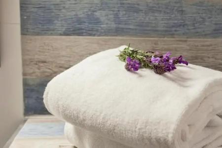 Le Neptune & Spa - 54