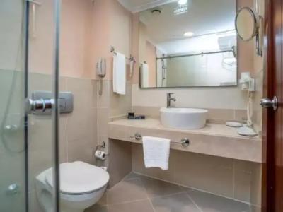 Anemon Grand Eskişehir Otel - 36