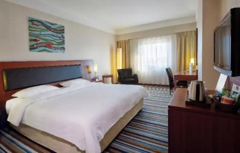Anemon Grand Eskişehir Otel - 31