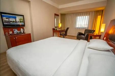Anemon Grand Eskişehir Otel - 28