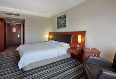 Anemon Grand Eskişehir Otel - 30