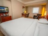 Deluxe Double room with city view