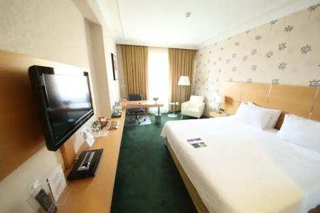 Anemon Grand Manisa Otel - 6
