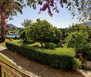 Papirus Adrasan Mini-Hotel - 42