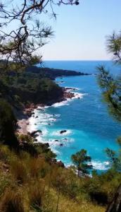 Papirus Adrasan Mini-Hotel - 20