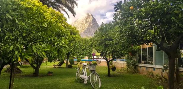 Papirus Adrasan Mini-Hotel - 23