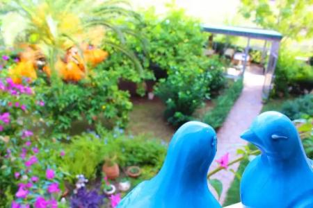 Papirus Adrasan Mini-Hotel - 19