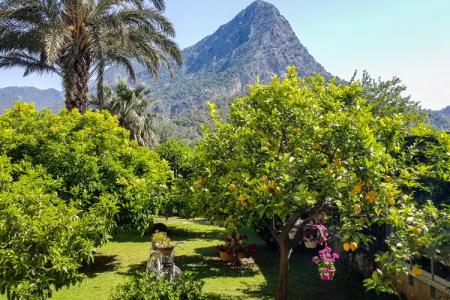 Papirus Adrasan Mini-Hotel - 58