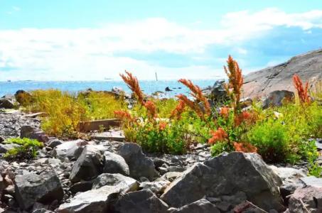 Hostel Suomenlinna - 15