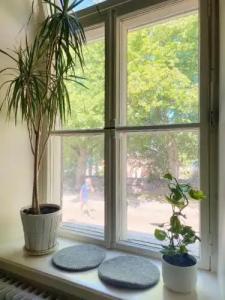 Hostel Suomenlinna - 44