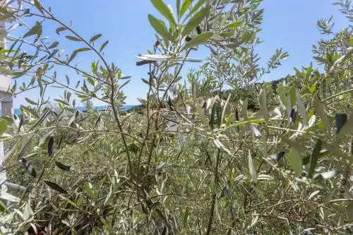 Medin Apartments BluVista - 23