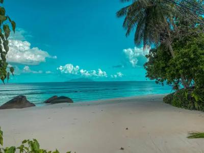 Divers Lodge Guest House - 9