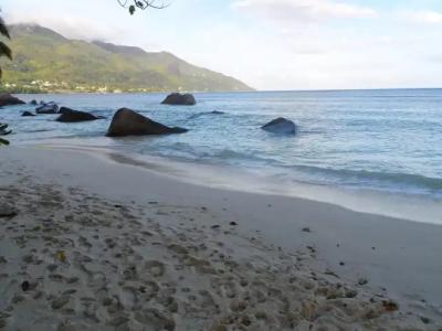 Divers Lodge Guest House - 10