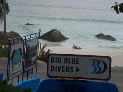 Divers Lodge Guest House - 11