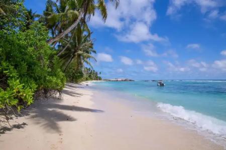 Chalets d'Anse Forbans SelfCatering - 12