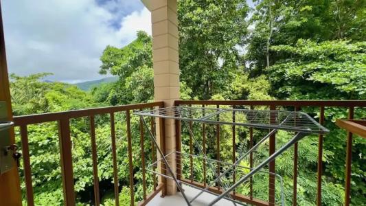 The Palm Seychelles - 54