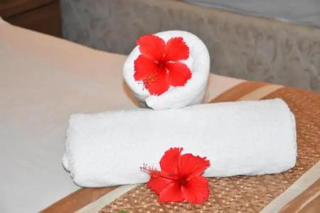 Reef Holiday Apartments - 119