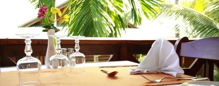 Le Jardin des Palmes - 6