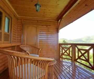 Le Jardin des Palmes - 13