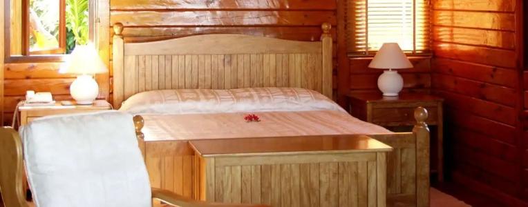 Le Jardin des Palmes - 0