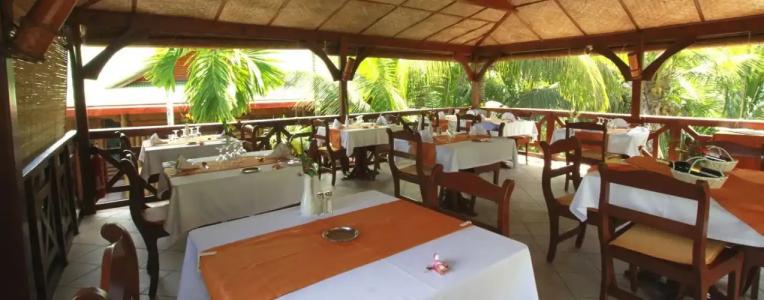 Le Jardin des Palmes - 10