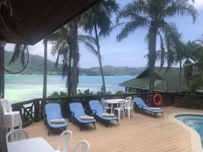 Le Jardin des Palmes - 14