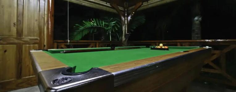 Le Jardin des Palmes - 7