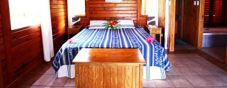 Le Jardin des Palmes - 1