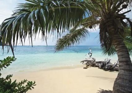 New Emerald Cove - 11