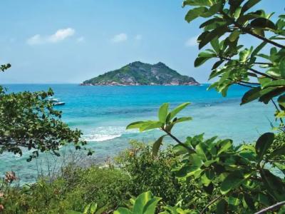 New Emerald Cove - 9