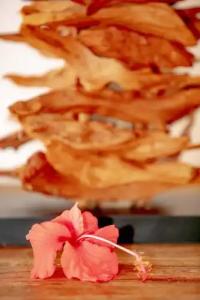 Village du Pecheur - 37