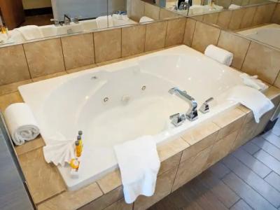 Holiday Inn Purdue - Fort Wayne, an IHG - 7