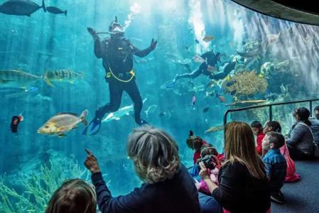 Hyatt Centric the Pike - 24