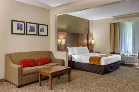 Comfort Suites Raleigh Walnut Creek - 41