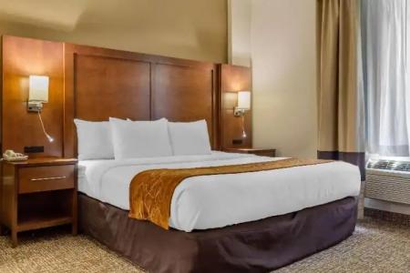 Comfort Suites Raleigh Walnut Creek - 42