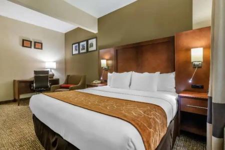 Comfort Suites Raleigh Walnut Creek - 37