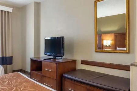 Comfort Suites Raleigh Walnut Creek - 44