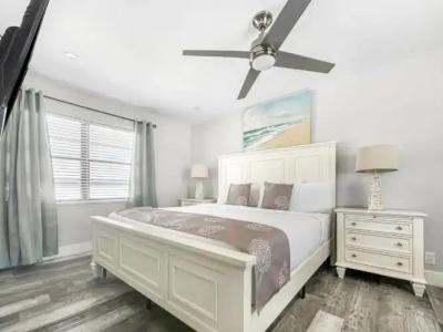 Hollywood Beach Seagull - 142