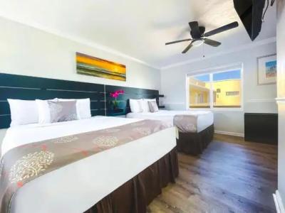 Hollywood Beach Seagull - 112