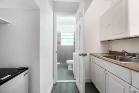 Hollywood Beach Seagull - 24