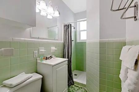 Hollywood Beach Seagull - 50