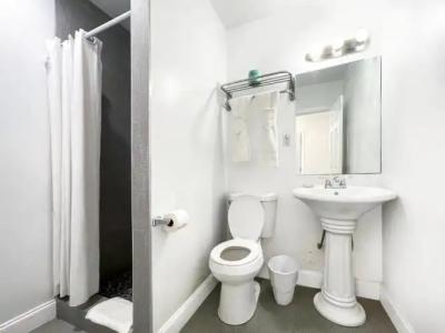 Hollywood Beach Seagull - 58